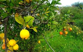 Archimede Vacanze B&B